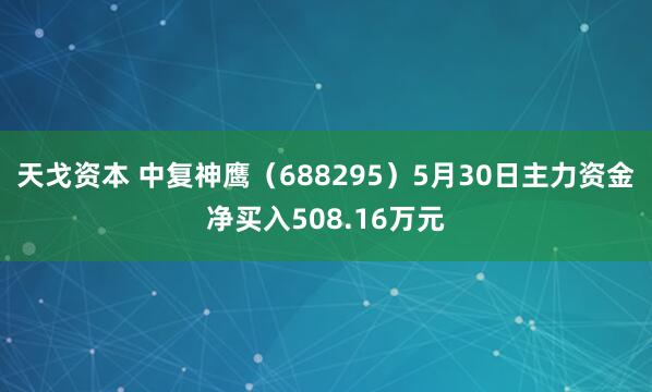 天戈资本 中复神鹰（688295）5月30日主力资金净买入508.16万元